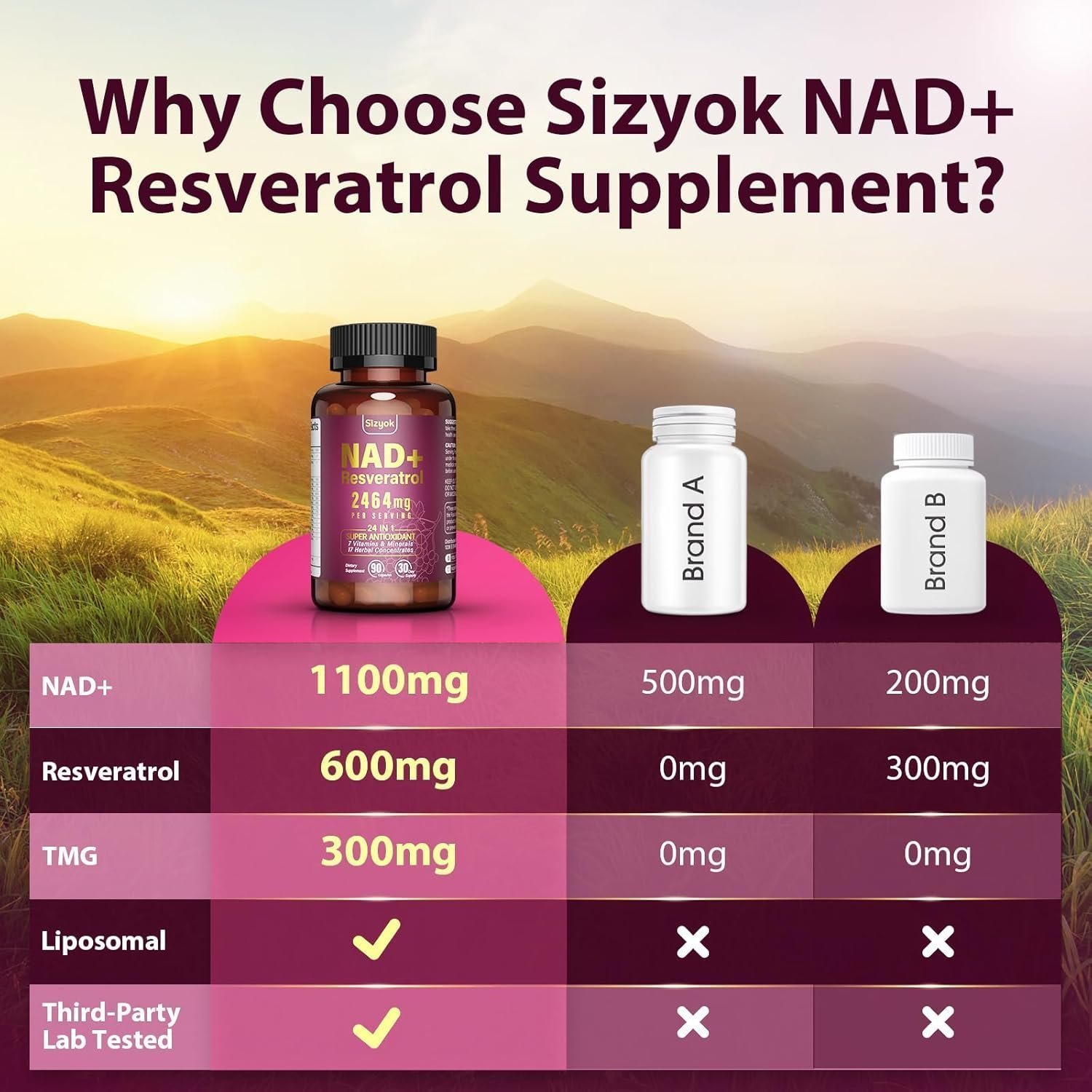 NAD Resveratrol Supplement 2464mg, Liposomal NAD Supplement NAD+ Levels, Energy Anti-Aging - Image 4