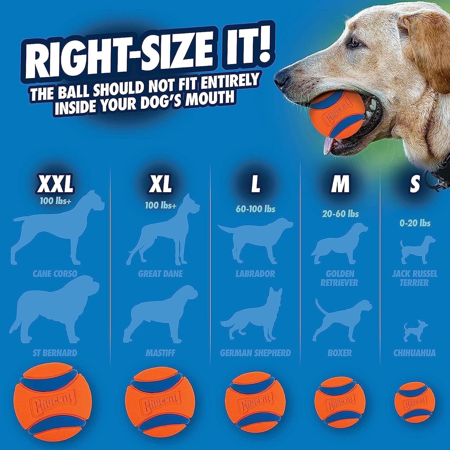 Chuckit! Ultra Tug Dog Toy With Rubber Ball Tug Of War Interactive Fetch Toy for Dogs, Small - Image 4